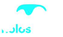 Holoscopia